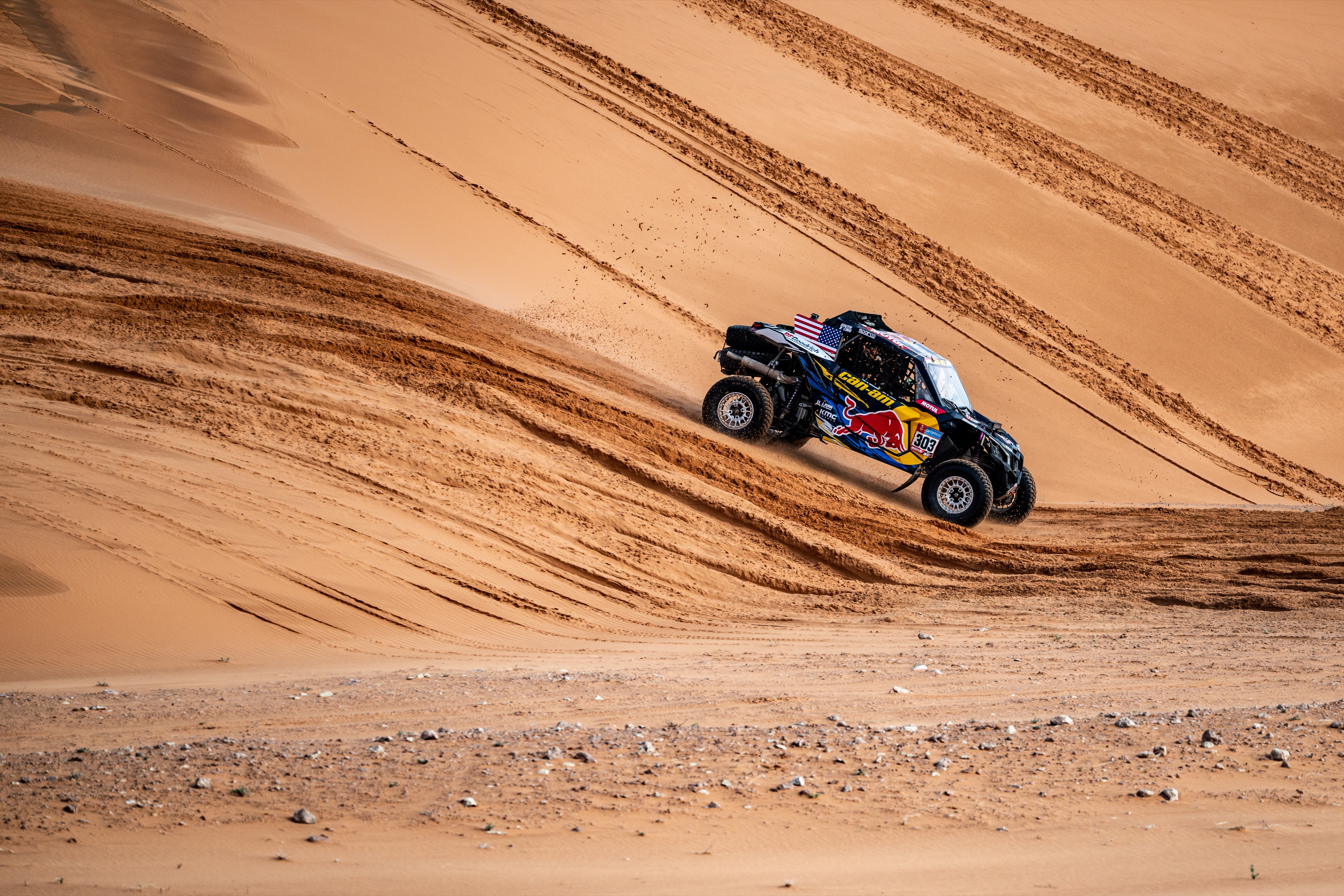 Dakar desert rally steam фото 104